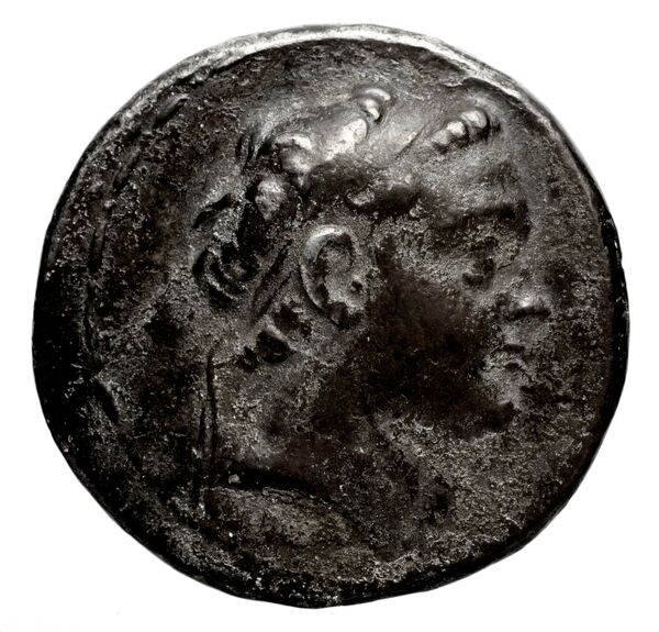 аверс Seleucid Coins (part 2) 1365