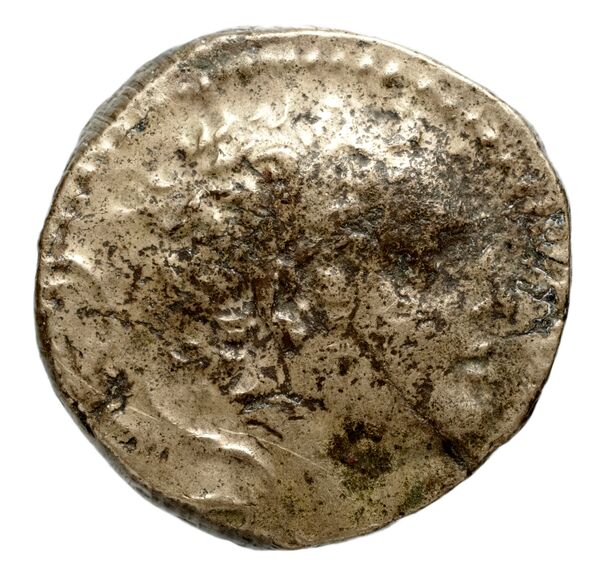 аверс Seleucid Coins (part 2) 1427