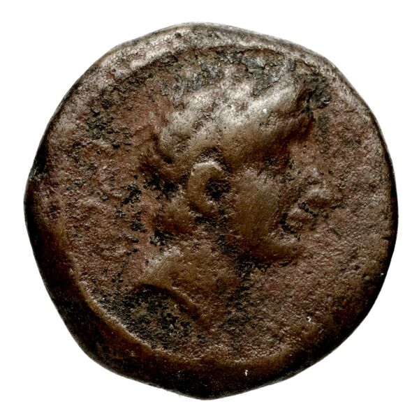 аверс Seleucid Coins (part 1) 815
