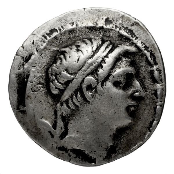 аверс Seleucid Coins (part 2) 1727