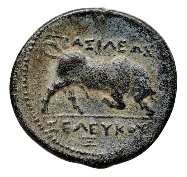 Seleucid Coins (part 1) 21.2, реверс, bnf-hrc