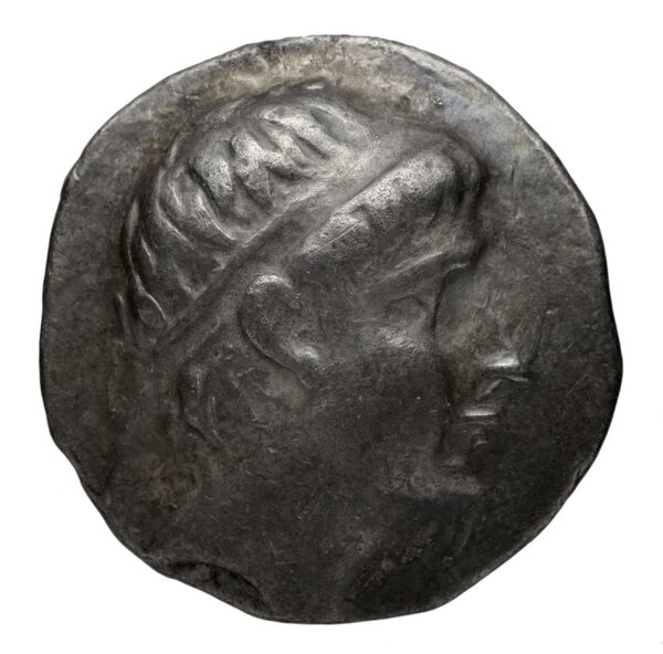 аверс Seleucid Coins (part 1) 830.2