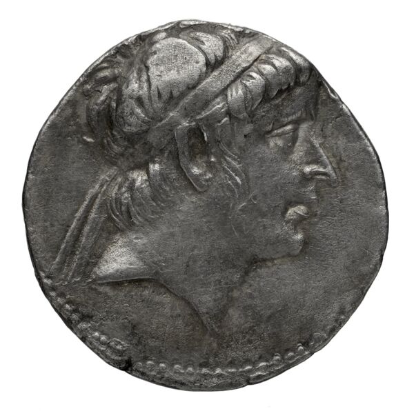 аверс Seleucid Coins (part 1) 731.1