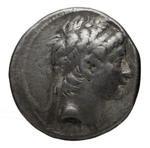 аверс Seleucid Coins (part 1) 704.1e