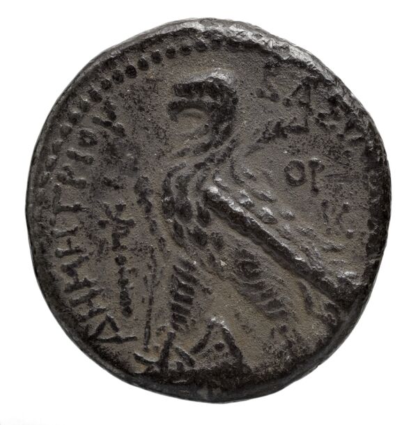 реверс Seleucid Coins (part 2) 1959.4d