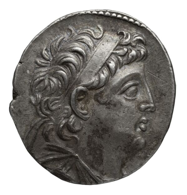 Seleucid Coins (part 2) 2195.4c, аверс, bnf-hrc