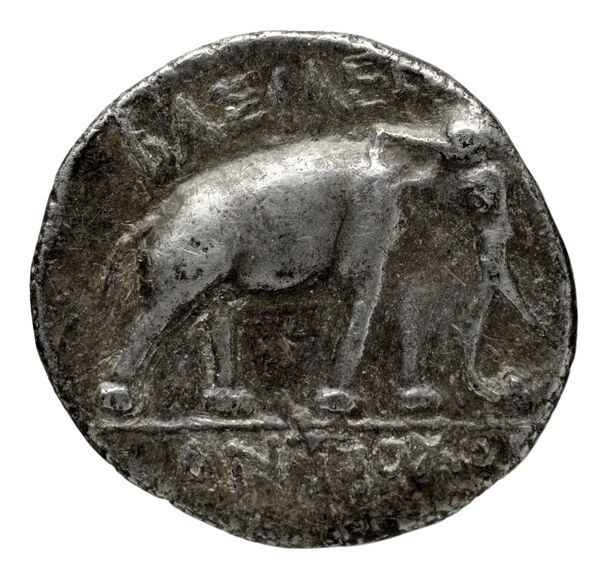 Seleucid Coins (part 1) 1066, реверс, bnf-hrc