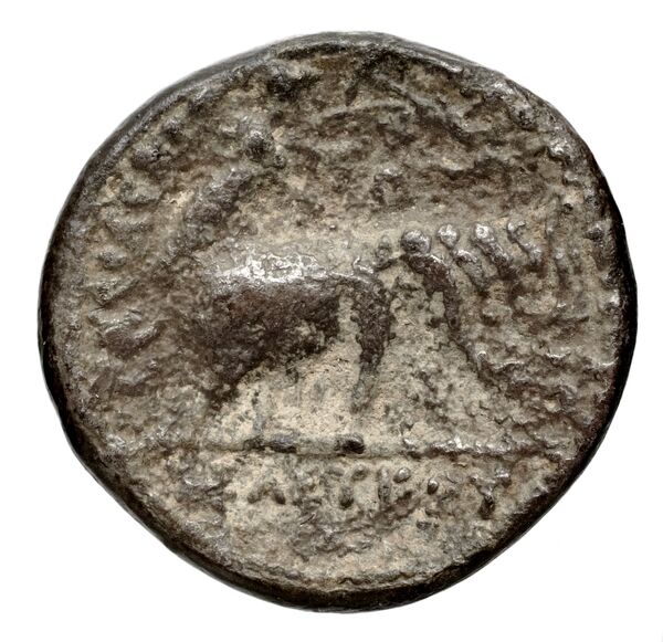 Seleucid Coins (part 1) 131, реверс, bnf-hrc
