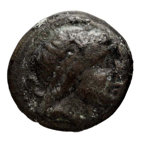 Seleucid Coins (part 1) 608, аверс, bnf-hrc