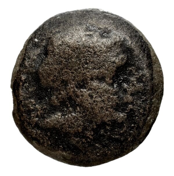 Seleucid Coins (part 1) 1258, аверс, bnf-hrc