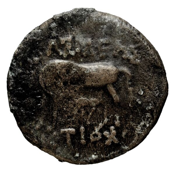 Seleucid Coins (part 1) 1269, реверс, bnf-hrc