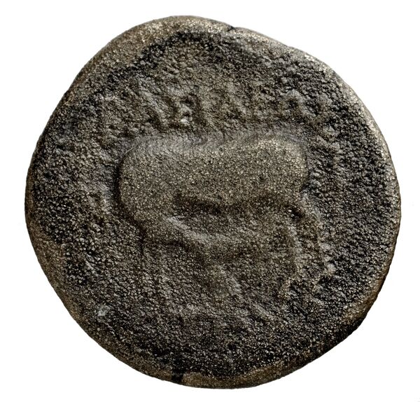 Seleucid Coins (part 1) 1270, реверс, bnf-hrc