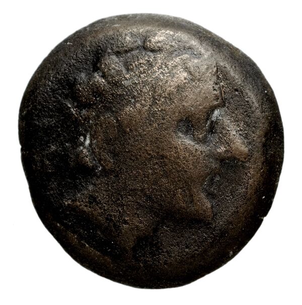 Seleucid Coins (part 1) 1270, аверс, bnf-hrc