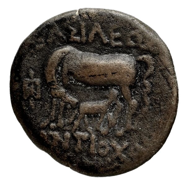 Seleucid Coins (part 1) 1270, реверс, bnf-hrc