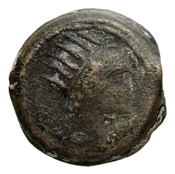 Seleucid Coins (part 2) 1509, аверс, bnf-hrc
