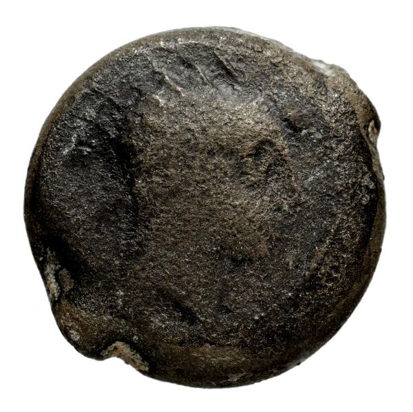 Seleucid Coins (part 2) 1509, аверс, bnf-hrc