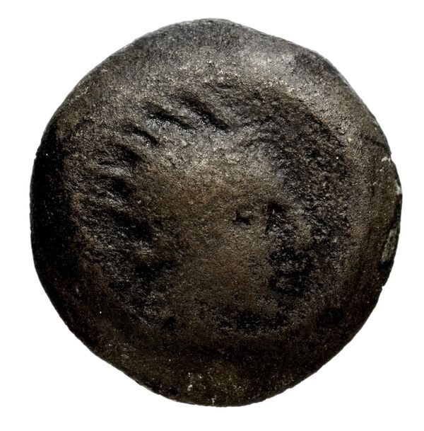 Seleucid Coins (part 2) 1509, аверс, bnf-hrc