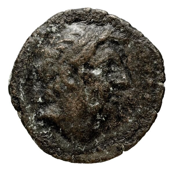 Seleucid Coins (part 2) 1704, аверс, bnf-hrc