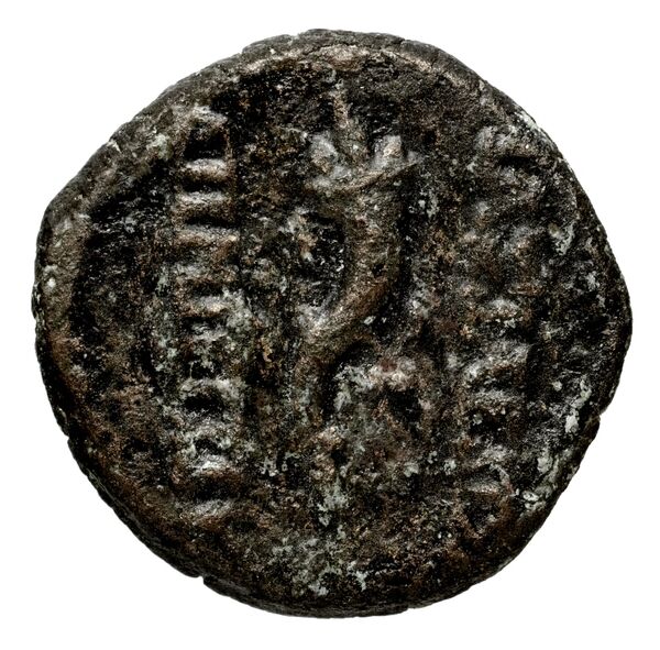 Seleucid Coins (part 2) 1704, реверс, bnf-hrc