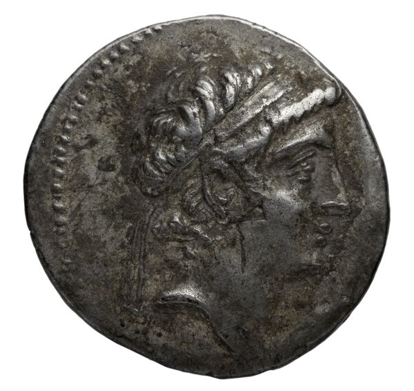 Seleucid Coins (part 2) 1983, аверс, bnf-hrc