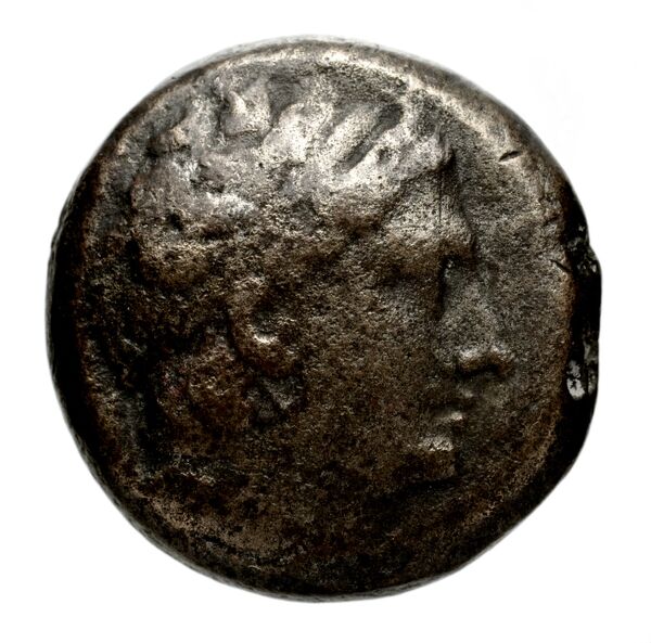 obverse Seleucid Coins (part 1) 1275f