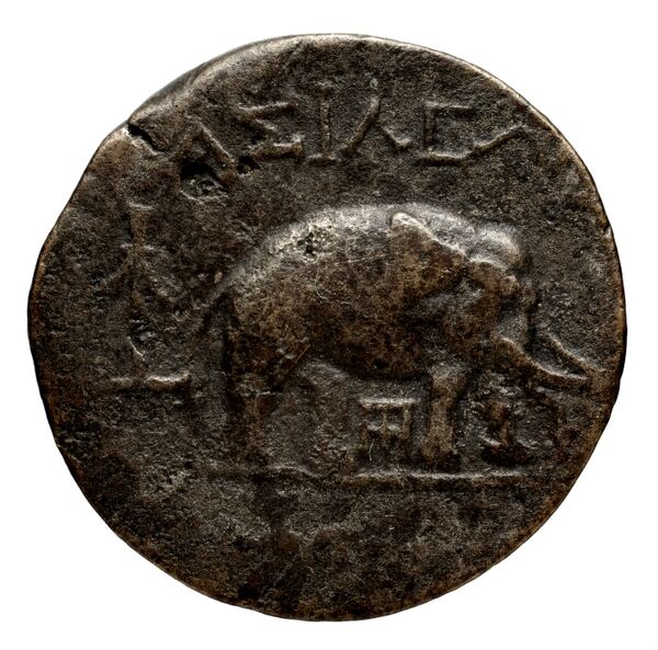 reverse Seleucid Coins (part 1) 1275f
