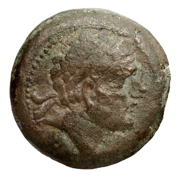 Seleucid Coins (part 1) 1256, аверс, bnf-hrc
