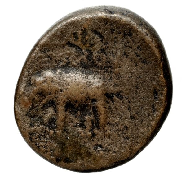 Seleucid Coins (part 2) 1607, реверс, bnf-hrc
