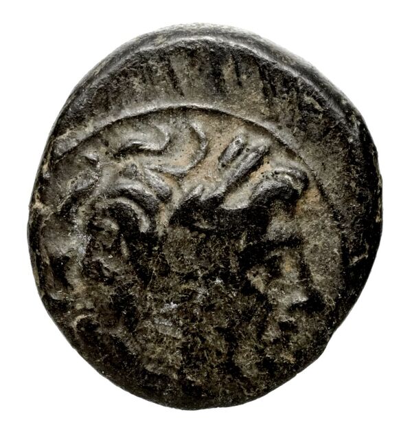 Seleucid Coins (part 1) 348, аверс, bnf-hrc