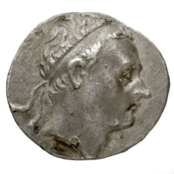 аверс Seleucid Coins (part 1) 1067