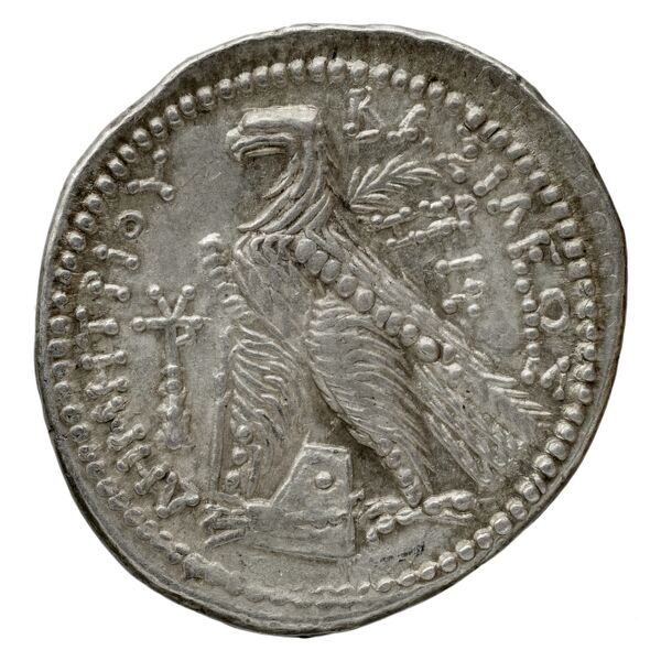 реверс Seleucid Coins (part 2) 1959.1b