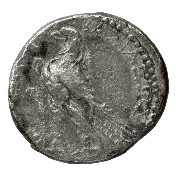 реверс Seleucid Coins (part 2) 2020