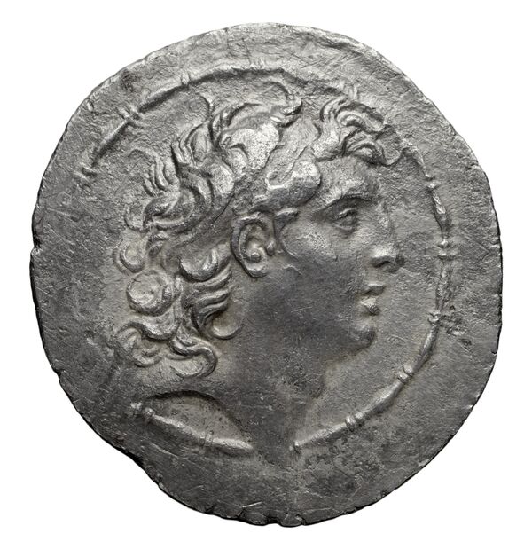 Seleucid Coins (part 2) 2031.1, аверс, bnf-hrc