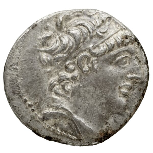 obverse Seleucid Coins (part 2) 2340.6