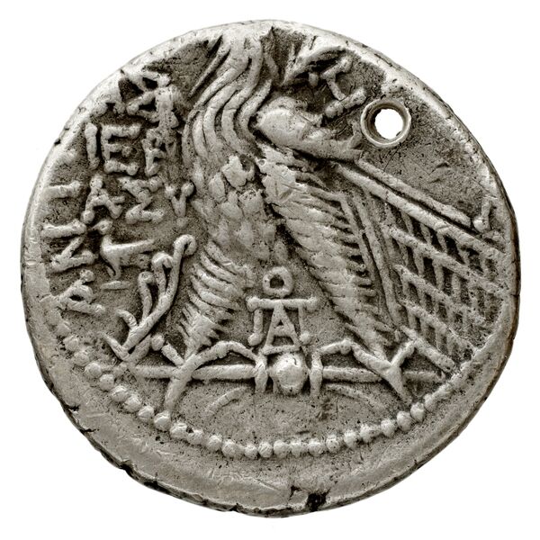 reverse Seleucid Coins (part 2) 2340.10