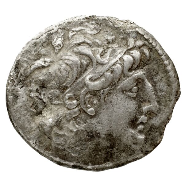 obverse Seleucid Coins (part 2) 2339.2