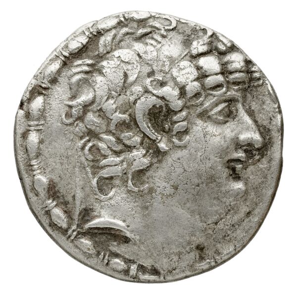 аверс Seleucid Coins (part 2) 2461.6
