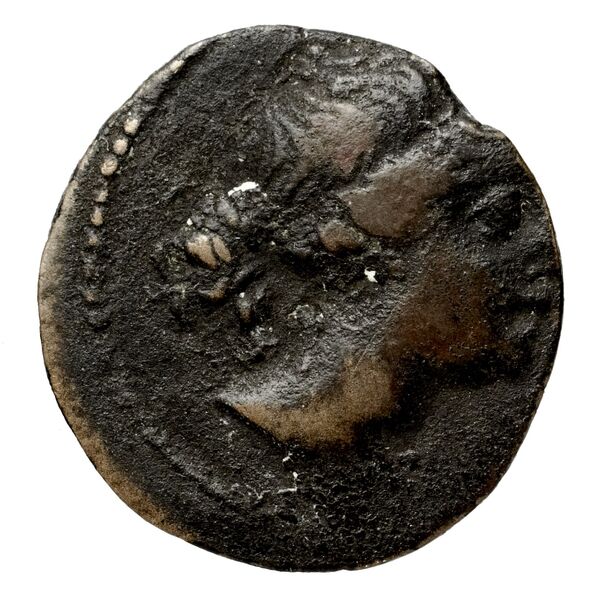 Seleucid Coins (part 2) 1914, аверс, bnf-hrc