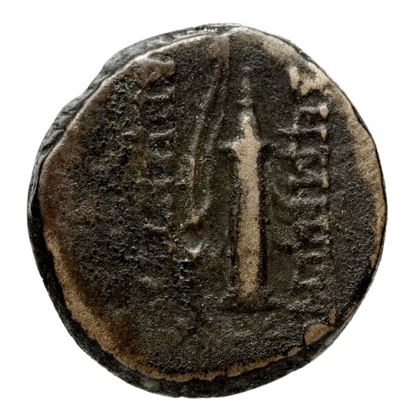 Seleucid Coins (part 2) 1914, реверс, bnf-hrc
