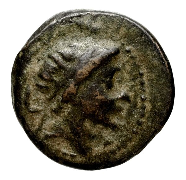 Seleucid Coins (part 1) 609, аверс, bnf-hrc