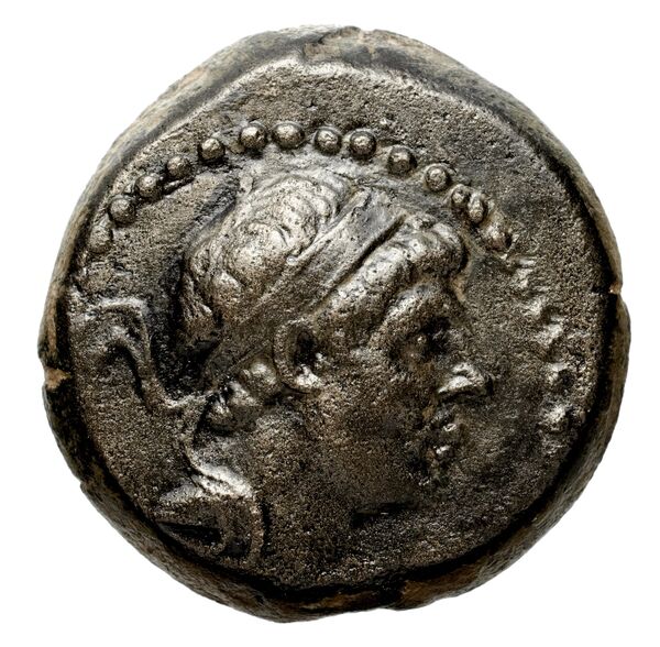 Seleucid Coins (part 2) 1594, аверс, bnf-hrc