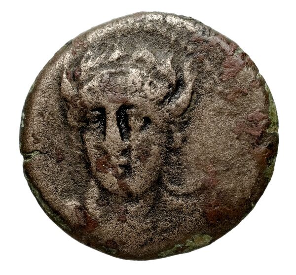 Seleucid Coins (part 1) 768, аверс, bnf-hrc