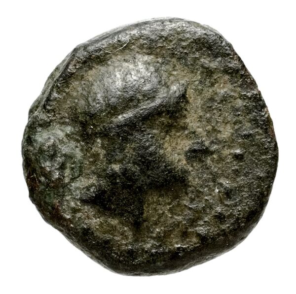 Seleucid Coins (part 1) 1088, аверс, bnf-hrc