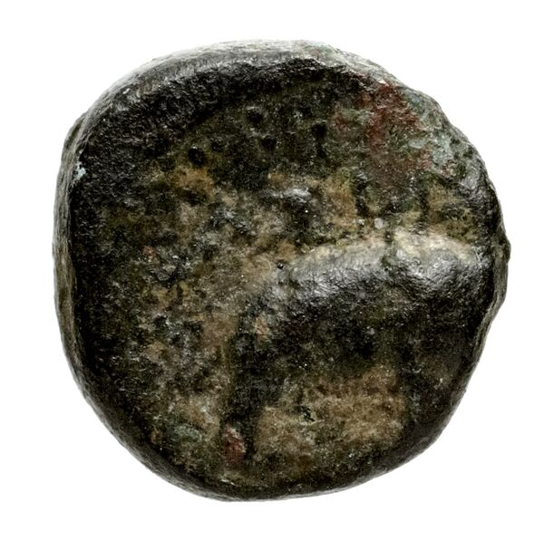 Seleucid Coins (part 1) 1088, реверс, bnf-hrc