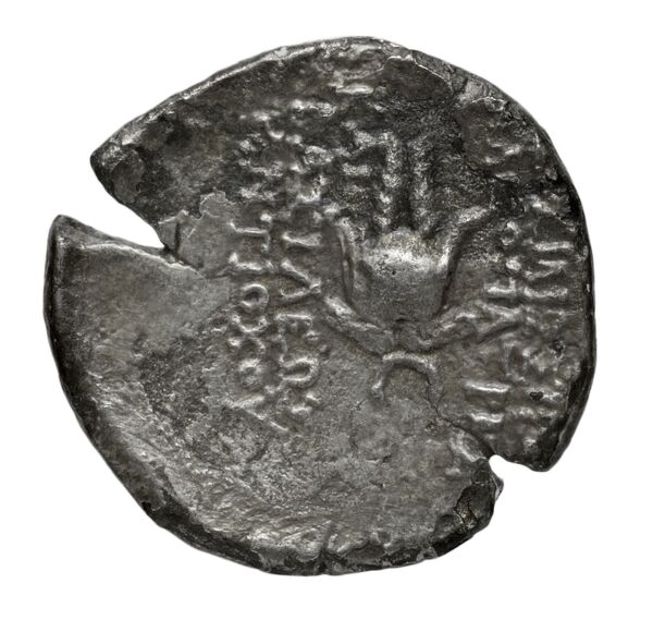 реверс Seleucid Coins (part 2) 2273