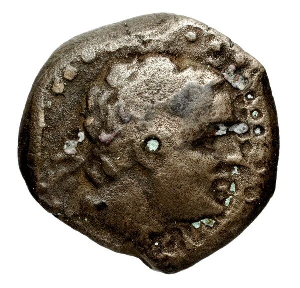 Seleucid Coins (part 1) 1081, аверс, bnf-hrc