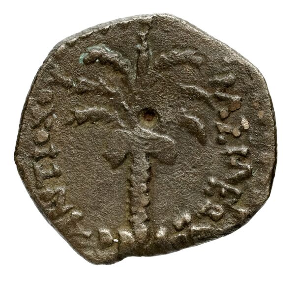Seleucid Coins (part 1) 1081, реверс, bnf-hrc