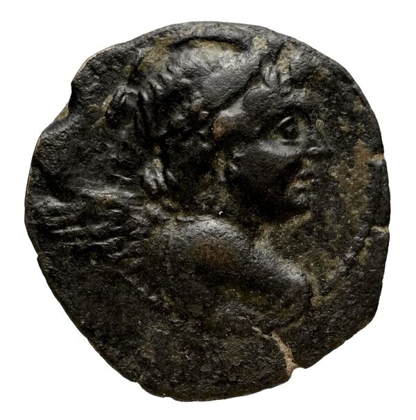Seleucid Coins (part 2) 2067.3c, аверс, bnf-hrc