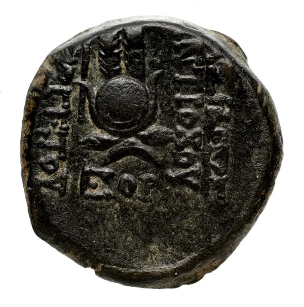 Seleucid Coins (part 2) 2067.3c, реверс, bnf-hrc