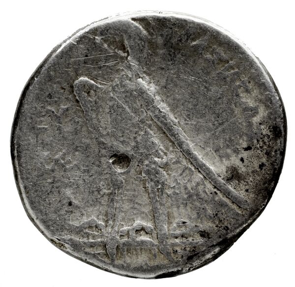 Coins of the Ptolemaic Empire Vol. I, Part 1, no. 228, реверс, bnf-hrc